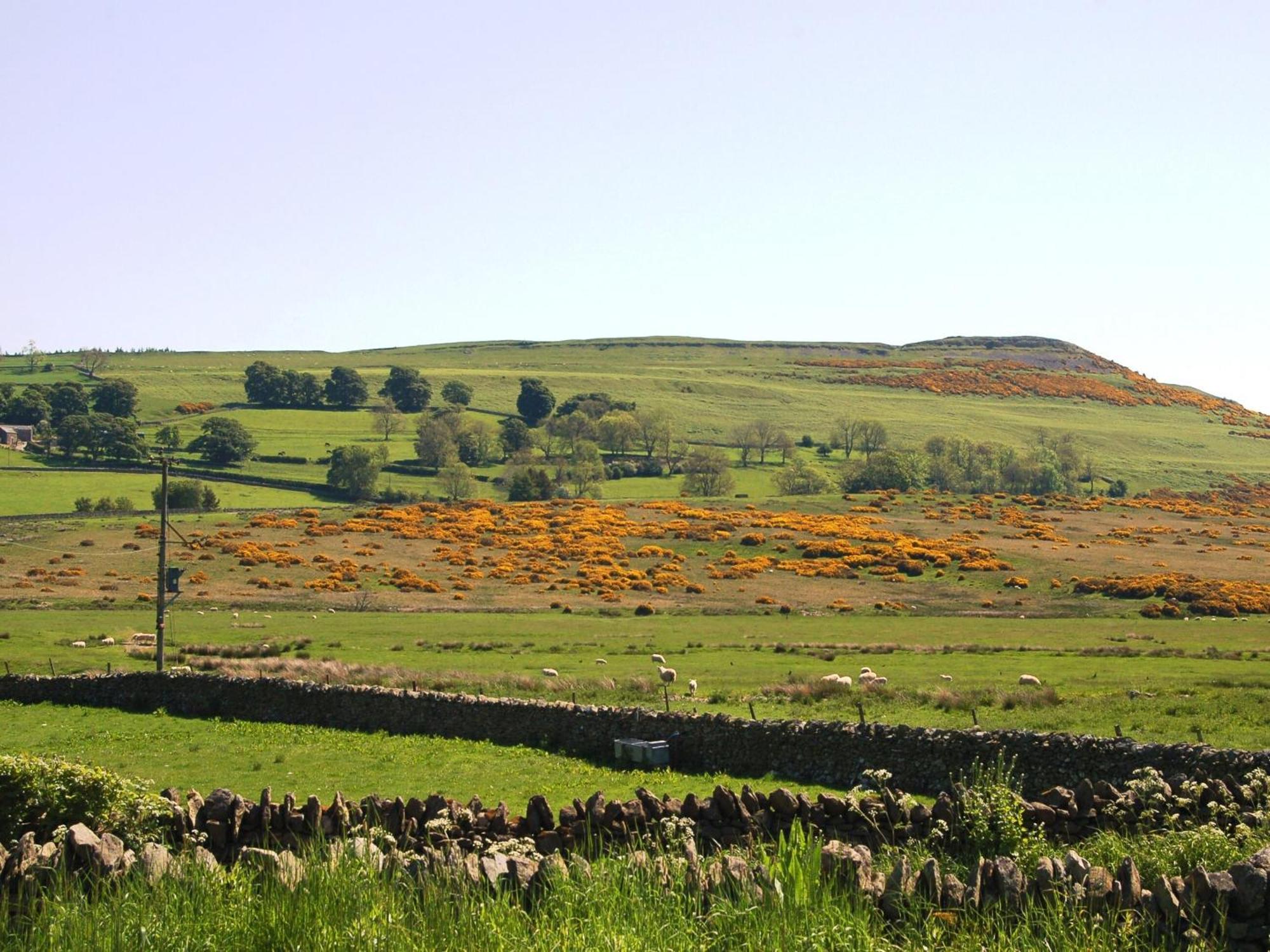 Gill Barn Holiday home